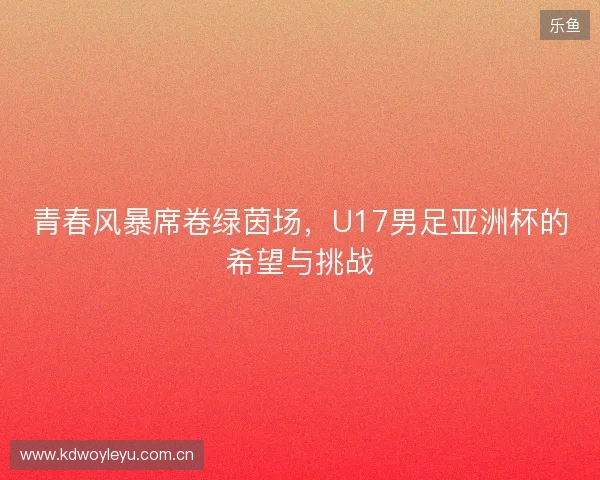 青春风暴席卷绿茵场，U17男足亚洲杯的希望与挑战